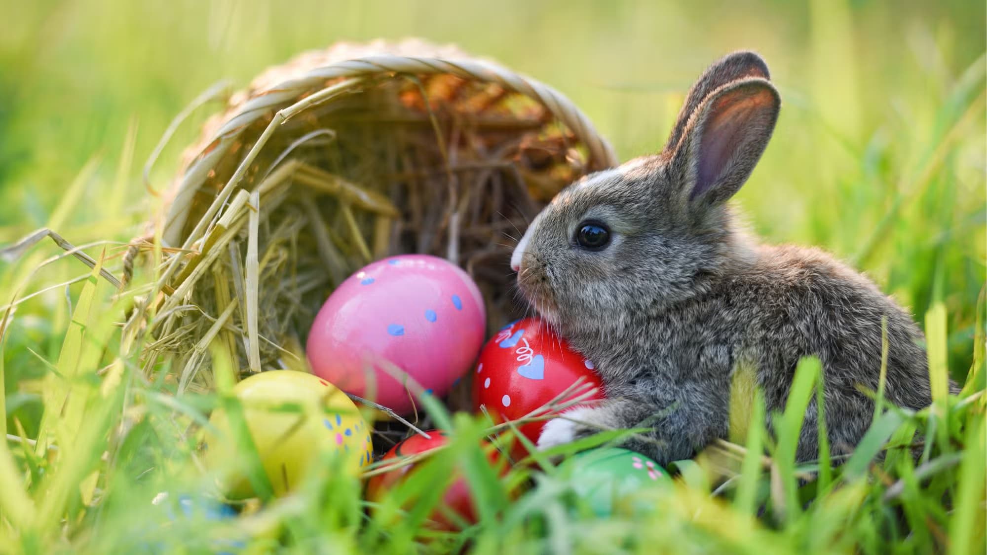 Scheduled Closure - Easter 2026